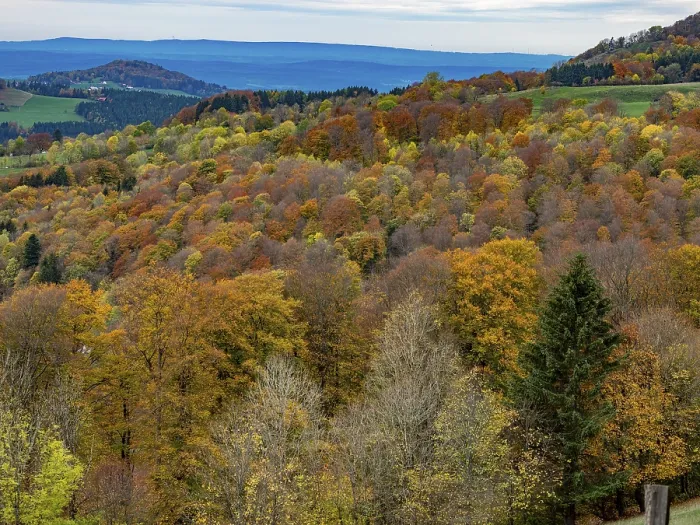 Framed Print : Autumn forest in the Rhoen, mixed forest
