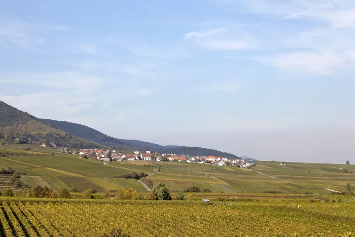 Framed Print : Autumn on the German Wine Route Framed Print : Autumn on the German Wine Route