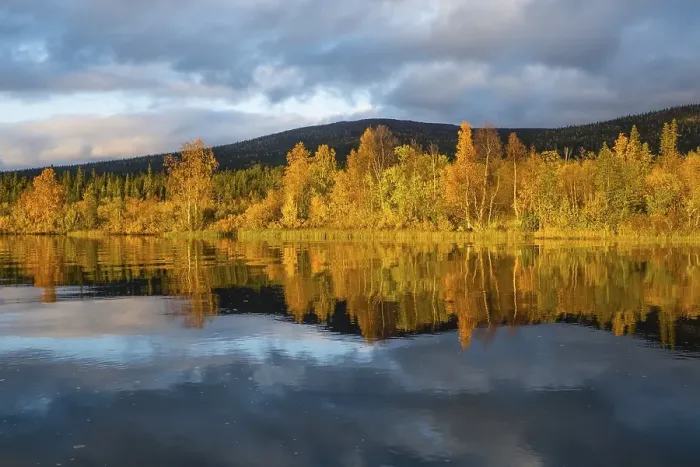 Framed Print : Autumn landscape, Mirroring, Kvikkjokk Delta Framed Print : Autumn landscape, Mirroring, Kvikkjokk Delta