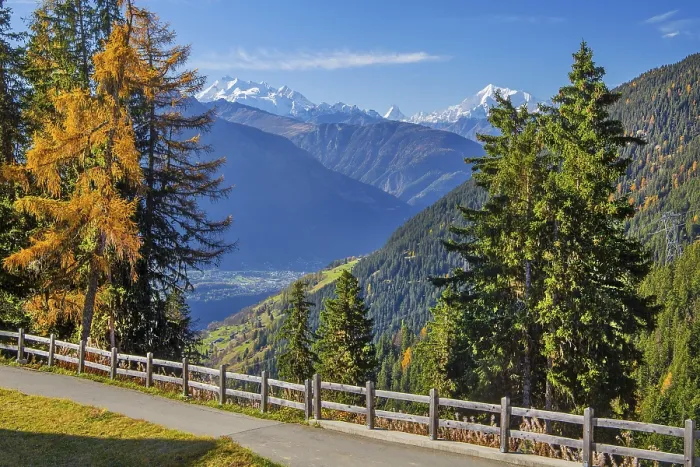 Framed Print : Autumn landscape above the Rhone valley with panorama of Dom 4545m Framed Print : Autumn landscape above the Rhone valley with panorama of Dom 4545m