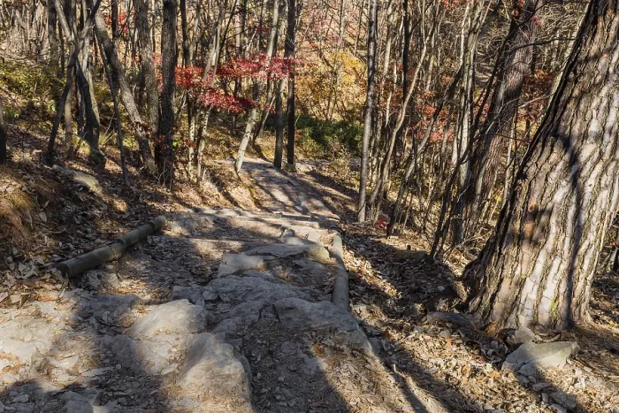 Framed Print : Autumn landscape of rocky trail through trees down mountainside in South Korea