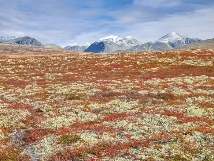 Framed Print : Autumn landscape in Rondane National Park