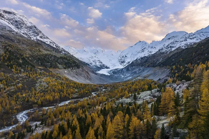 Framed Print : Autumn larch forest in front of Morteratsch glacier