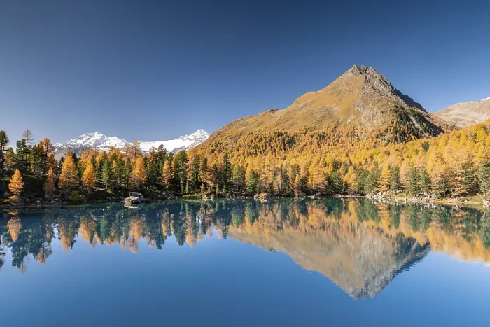 Framed Print : Autumn larch forest reflected in Lago di Saoseao
