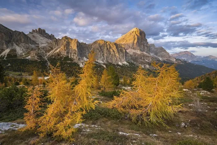 Framed Print : Autumn larches with mountains in the sunlight at Falzarego Pass