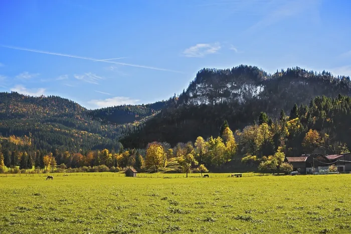 Framed Print : Autumn mixed forest, Jachenau, Bavaria, Germany Framed Print : Autumn mixed forest, Jachenau, Bavaria, Germany