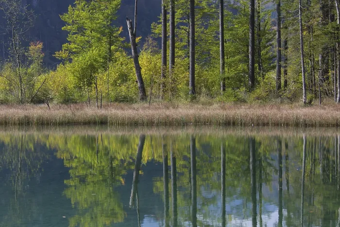 Framed Print : Autumn mood at lake Almsee, Gruenau Framed Print : Autumn mood at lake Almsee, Gruenau