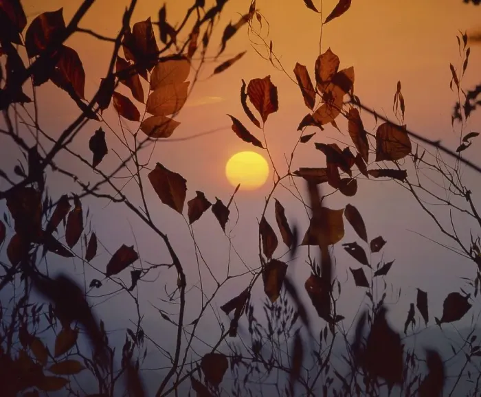 Framed Print : Autumn mood, sundown, the red sun