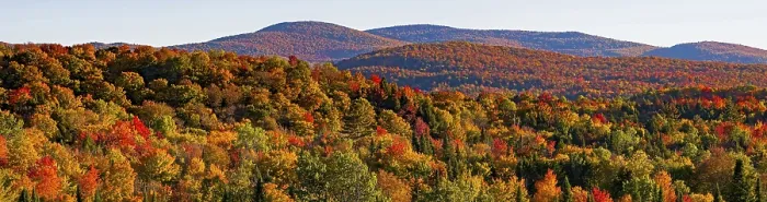 Framed Print : Autumn, rolling hills in full, autumn color Framed Print : Autumn, rolling hills in full, autumn color