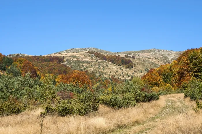 Framed Print : Autumn scene in mountain in sunny day Framed Print : Autumn scene in mountain in sunny day