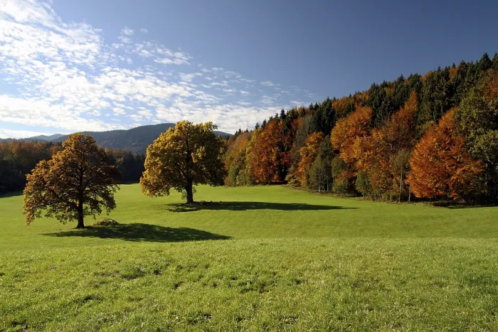 Framed Print : Autumn, Tegernsee, Finsterwald Framed Print : Autumn, Tegernsee, Finsterwald