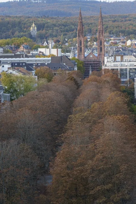 Framed Print : Autumn tree-lined avenue in a city with neo-Gothic towers in the background