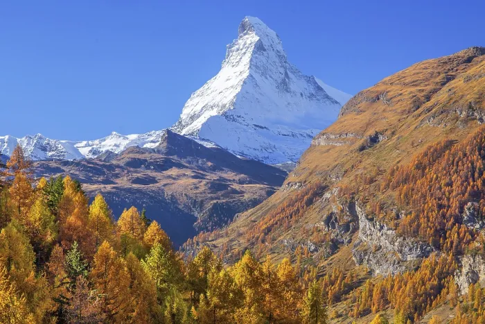 Framed Print : Autumn view of the Matterhorn 4478m and golden yellow larches