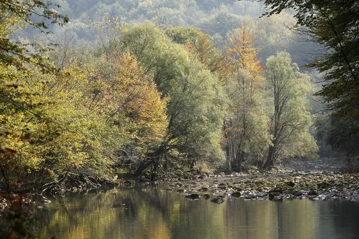 Framed Print : Autumnal floodplains on the Kupa river Framed Print : Autumnal floodplains on the Kupa river