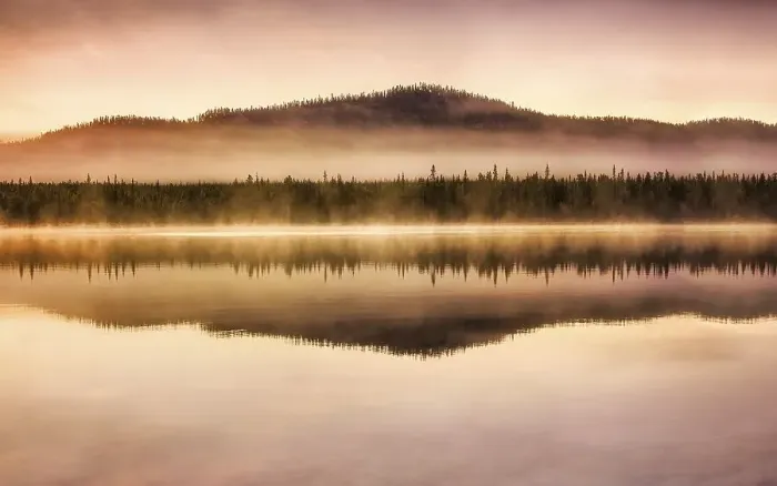 Framed Print : Autumnal fog atmosphere on the lake shore in the evening light