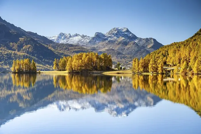 Framed Print : Autumnal larch forest and snow-covered mountains are reflected in the Lake Champfer