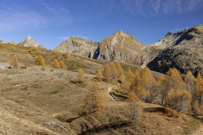 Framed Print : Autumnal larch forests, view of the Niwen and the Loicherspitze
