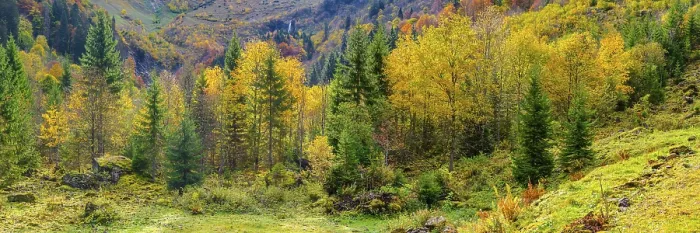 Framed Print : Autumnal mountain forest in the Oytal Framed Print : Autumnal mountain forest in the Oytal