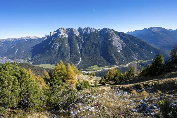Framed Print : Autumnal mountain forest, yellow-coloured larches