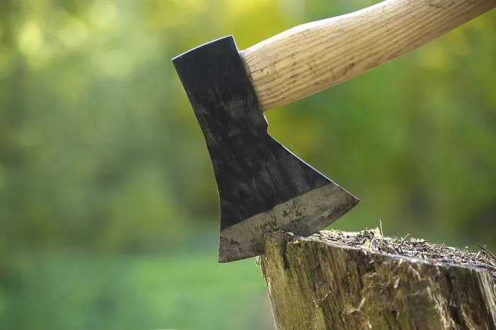 Framed Print : Axe or chopper stuck in a moss covered log of wood in a forest Framed Print : Axe or chopper stuck in a moss covered log of wood in a forest