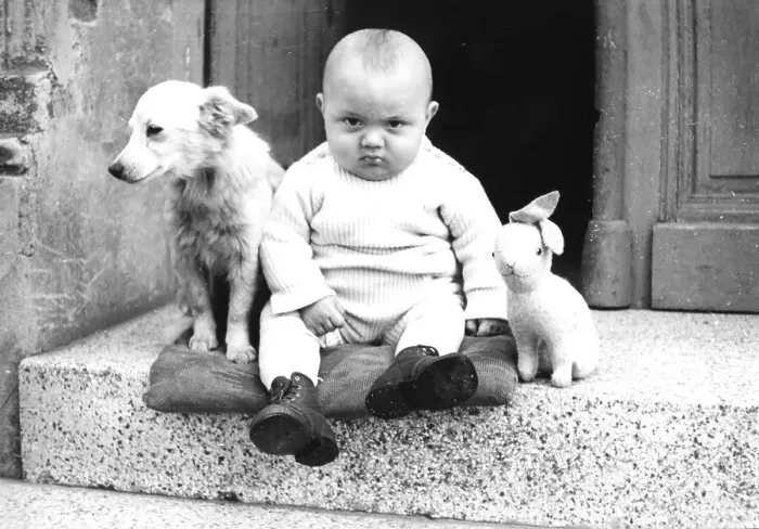 Framed Print : A baby with a dog and plush rabbit sits on a landing and looks grimly into the camera