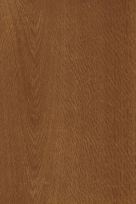 Framed Print : Background of wood grain from Knightia excelsa