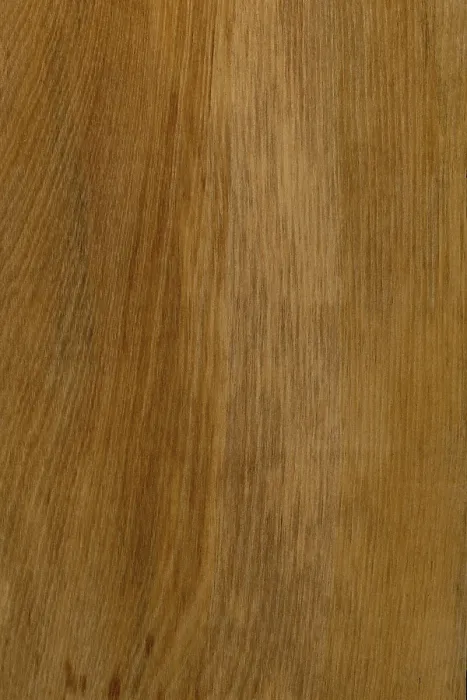 Framed Print : Background of wood grain from New Zealand White Pine (Kahikatea) Framed Print : Background of wood grain from New Zealand White Pine (Kahikatea)