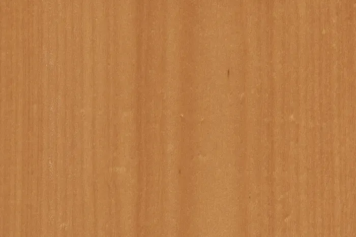 Framed Print : Background of wood grain from Tawa