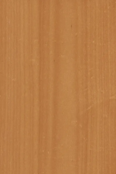 Framed Print : Background of wood grain from Tawa