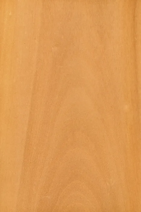 Framed Print : Background of wood grain from tawhai