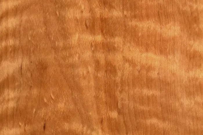 Framed Print : Background of wood grain from tawhai raunui
