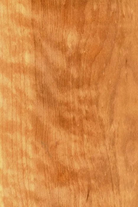 Framed Print : Background of wood grain from tawhai raunui Framed Print : Background of wood grain from tawhai raunui