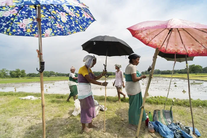 Framed Print : BAKSA, INDIA- JULY 12