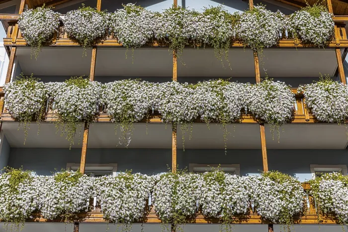 Framed Print : Balconies decorated with flowers in the centre of Ortisei Framed Print : Balconies decorated with flowers in the centre of Ortisei