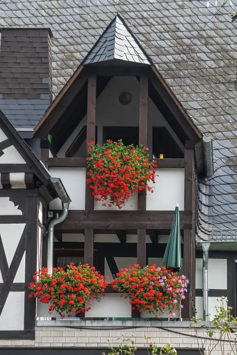 Framed Print : Balconies with lots of flowers in a typical half-timbered house with slate roof in Ernst Framed Print : Balconies with lots of flowers in a typical half-timbered house with slate roof in Ernst