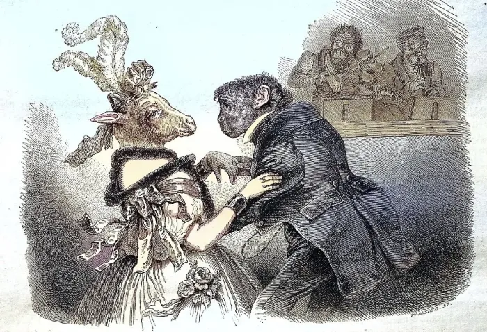 Framed Print : The Ball of the Animals, a Monkey Dances with a Sheep Framed Print : The Ball of the Animals, a Monkey Dances with a Sheep