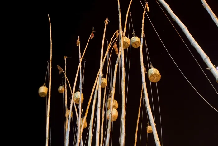 Framed Print : Bamboos with hanging something on dev diwali festival