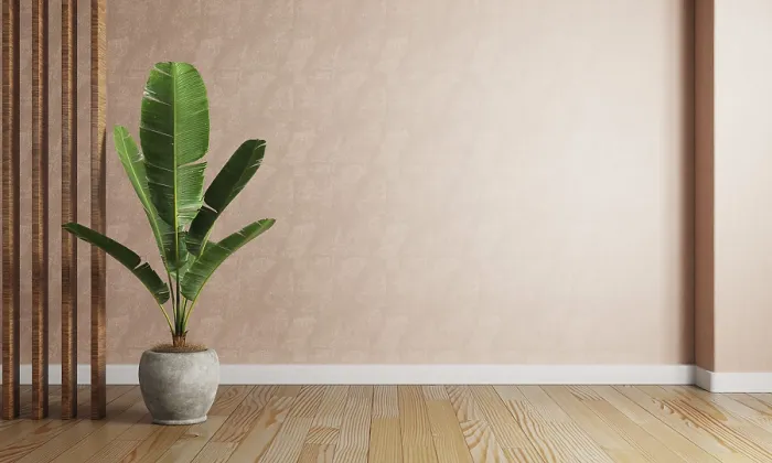 Framed Print : Banana plant pot in the red coral color living room with raw concrete wall background Framed Print : Banana plant pot in the red coral color living room with raw concrete wall background