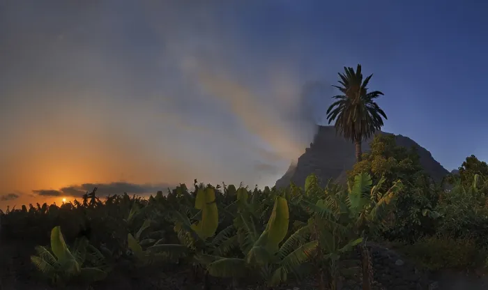 Framed Print : Banana plantation at sunset in the fertile valley of Valle Gran Rey