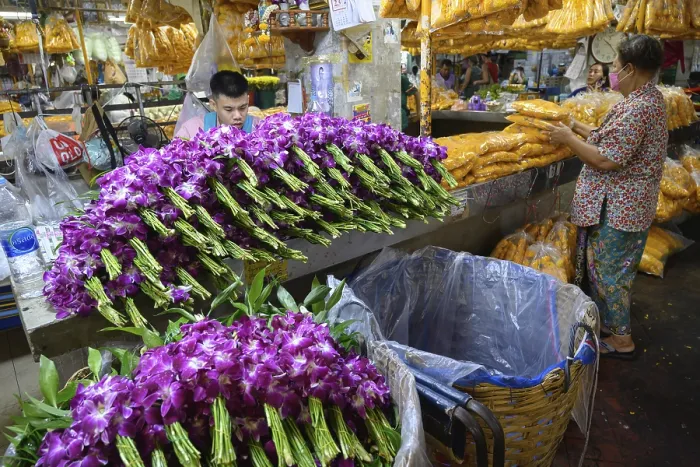 Framed Print : Bangkok, Thailand. March 2rd 2025
