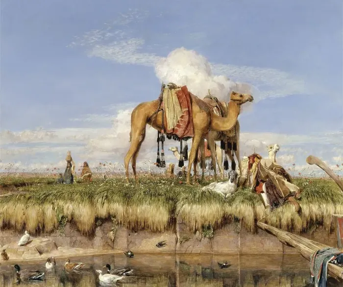 Framed Print : On the Banks of the Nile, Camels Stand on the Shore