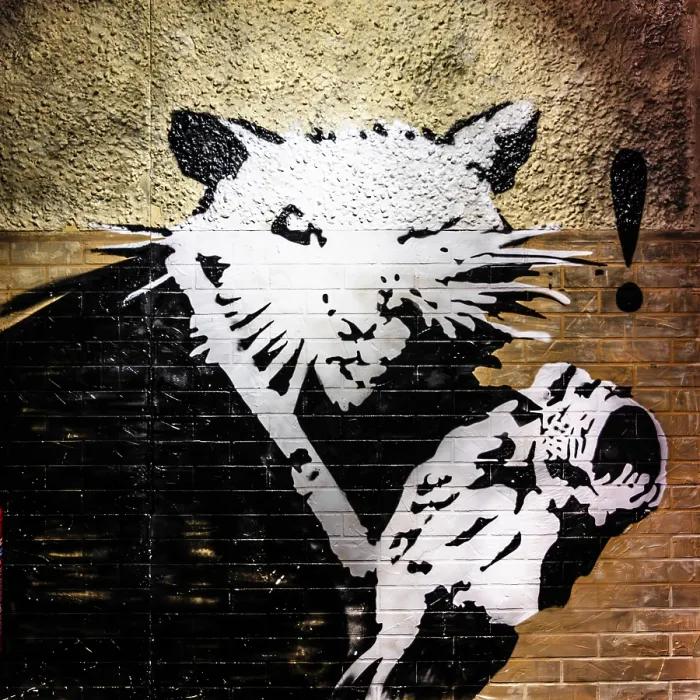 Framed Print : Banksy - Camera Rat, Rat as Ueberwacher