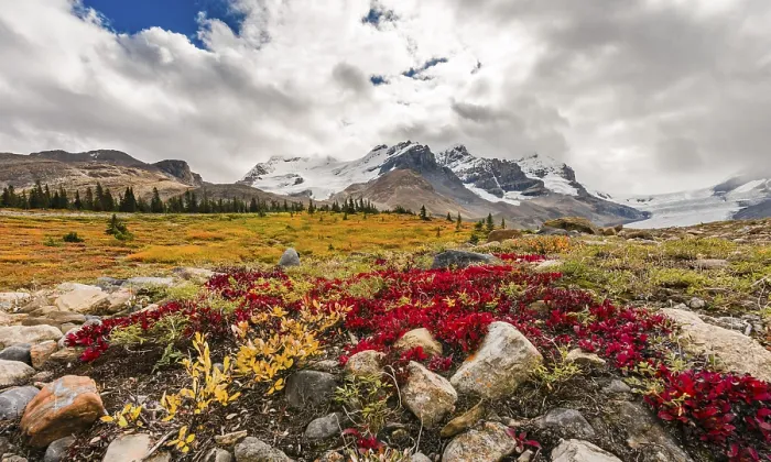 Framed Print : Barren Landscape, Glacial Valley