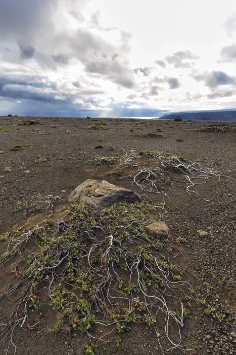 Framed Print : Barren stony volcanic landscape at Kjalvegur Kjolur