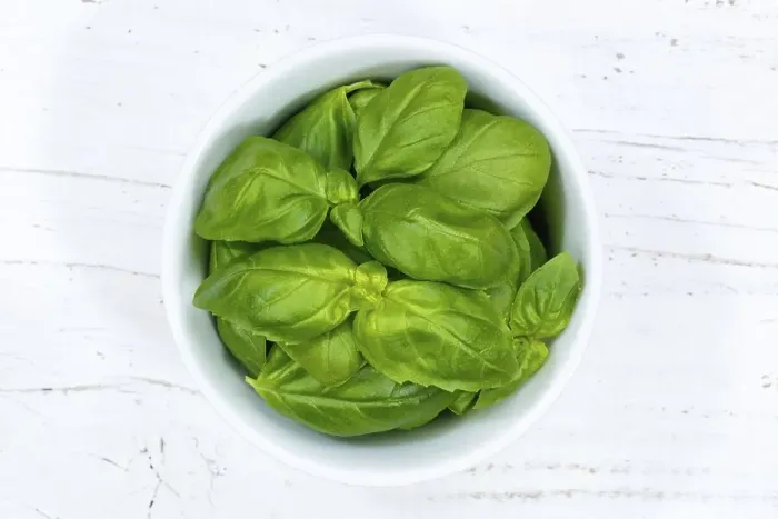 Framed Print : Basil herbs from above wooden board