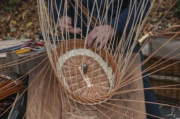 Framed Print : Basket is woven from willow rods (Salix viminalis), Franconia, Bavaria, Germany, Europe Framed Print : Basket is woven from willow rods (Salix viminalis), Franconia, Bavaria, Germany, Europe