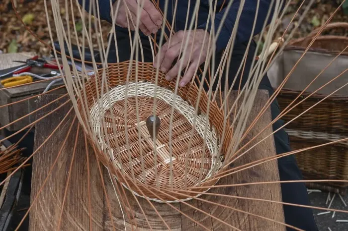 Framed Print : Basket is woven from willow rods (Salix viminalis), Franconia, Bavaria, Germany, Europe Framed Print : Basket is woven from willow rods (Salix viminalis), Franconia, Bavaria, Germany, Europe