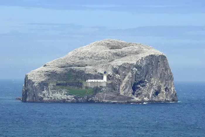 Framed Print : Bass Rock, Scotland, Great Britain, Europe