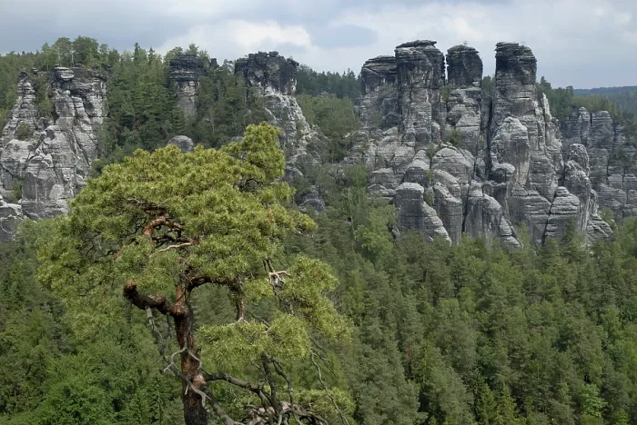 Framed Print : Bastei Group with Locomotive, Saxon Switzerland