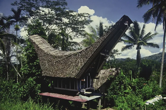 Framed Print : Batak Toba house in the Sumatra jungle, Indonesia